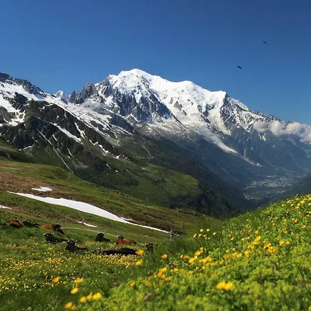 Chalet Pylone